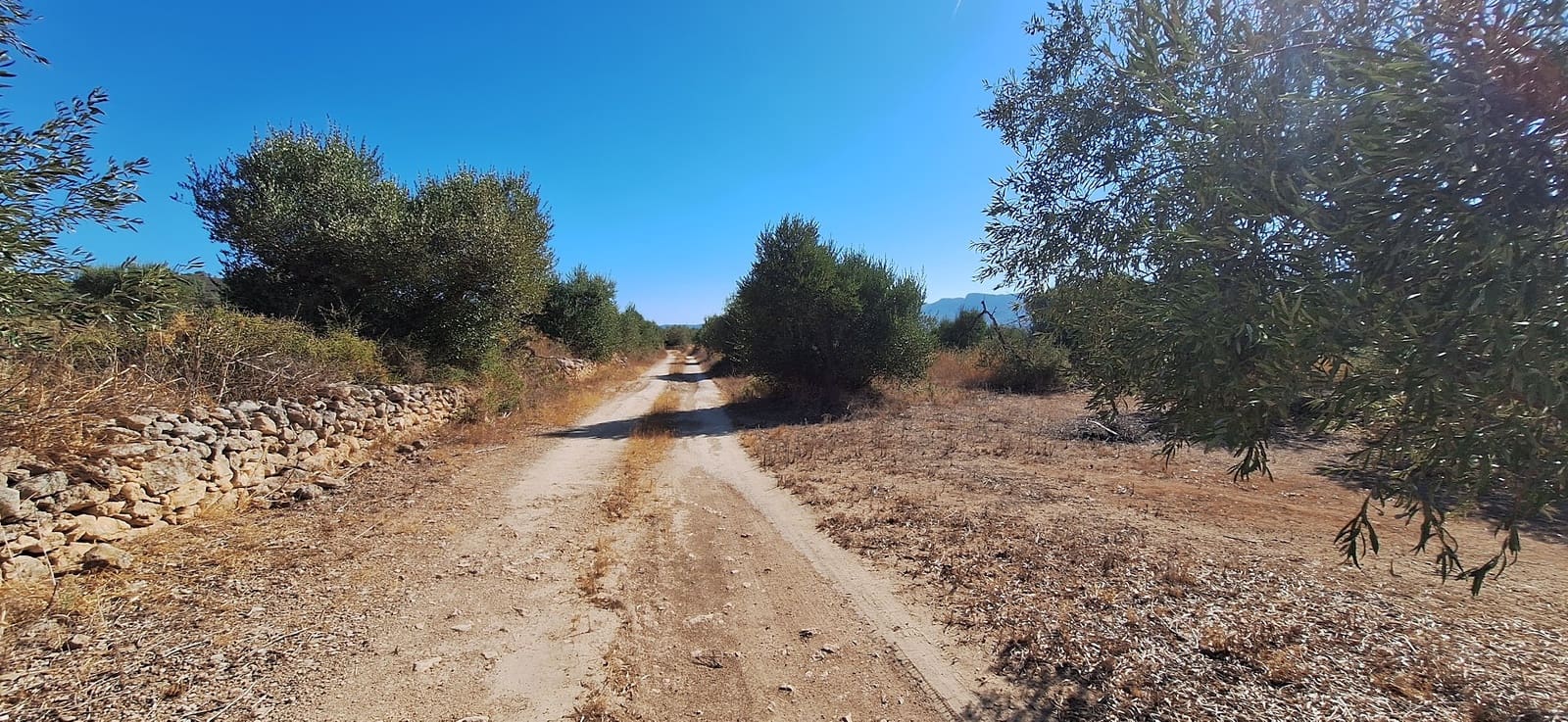 Finca/Landgut zu verkaufen in Tivissa - 162.000 € (Ref: 10100861)