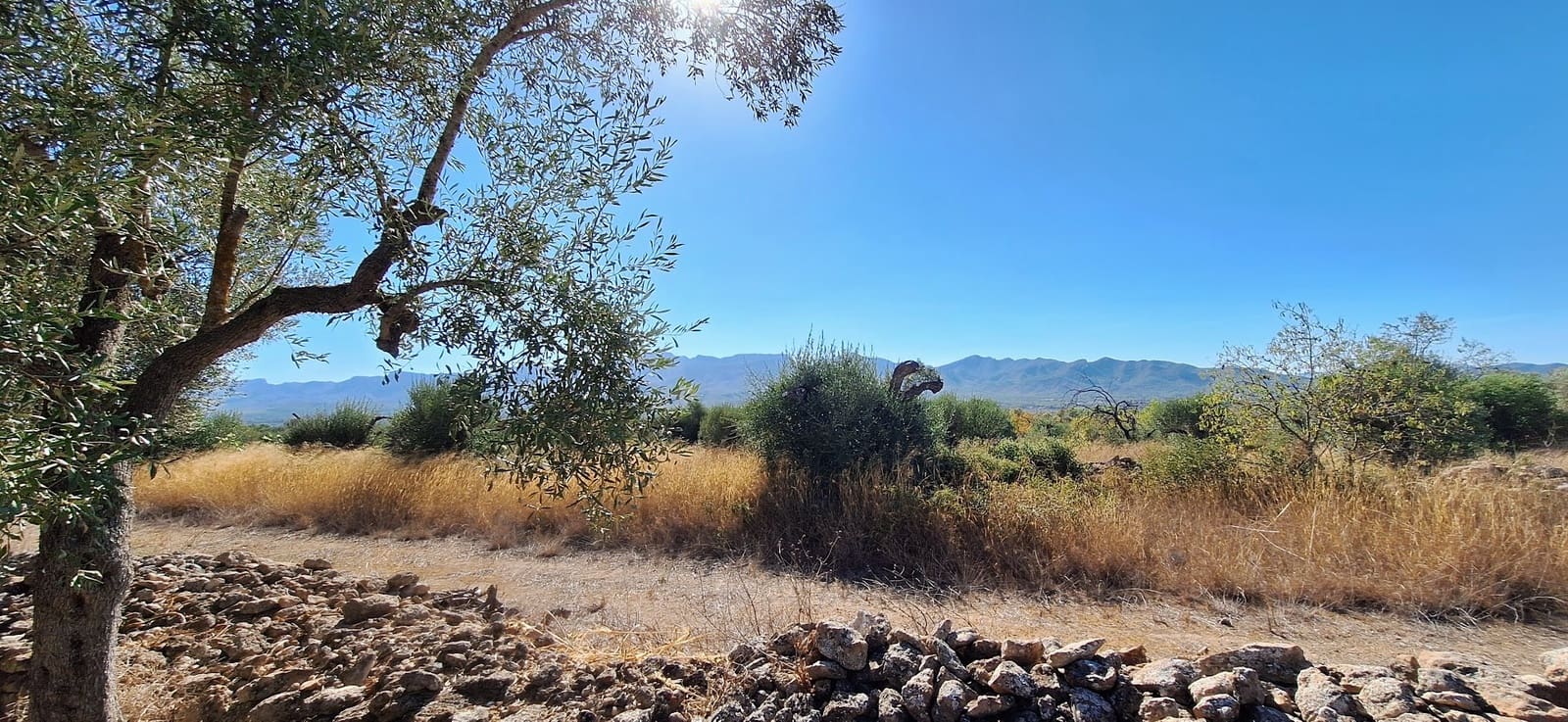 Finca/Landgut zu verkaufen in Tivissa - 162.000 € (Ref: 10100861)
