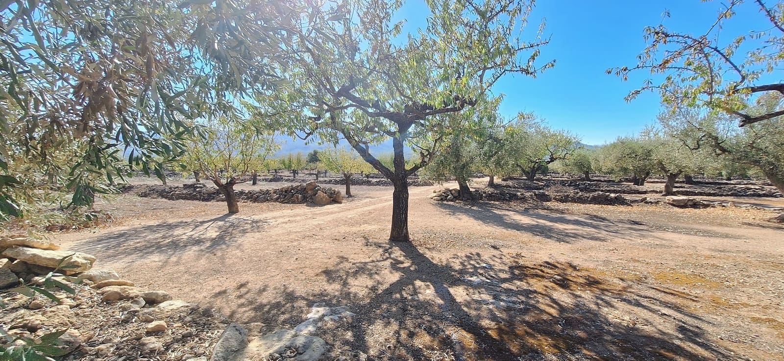 Finca/Landgut zu verkaufen in Tivissa - 162.000 € (Ref: 10100861)