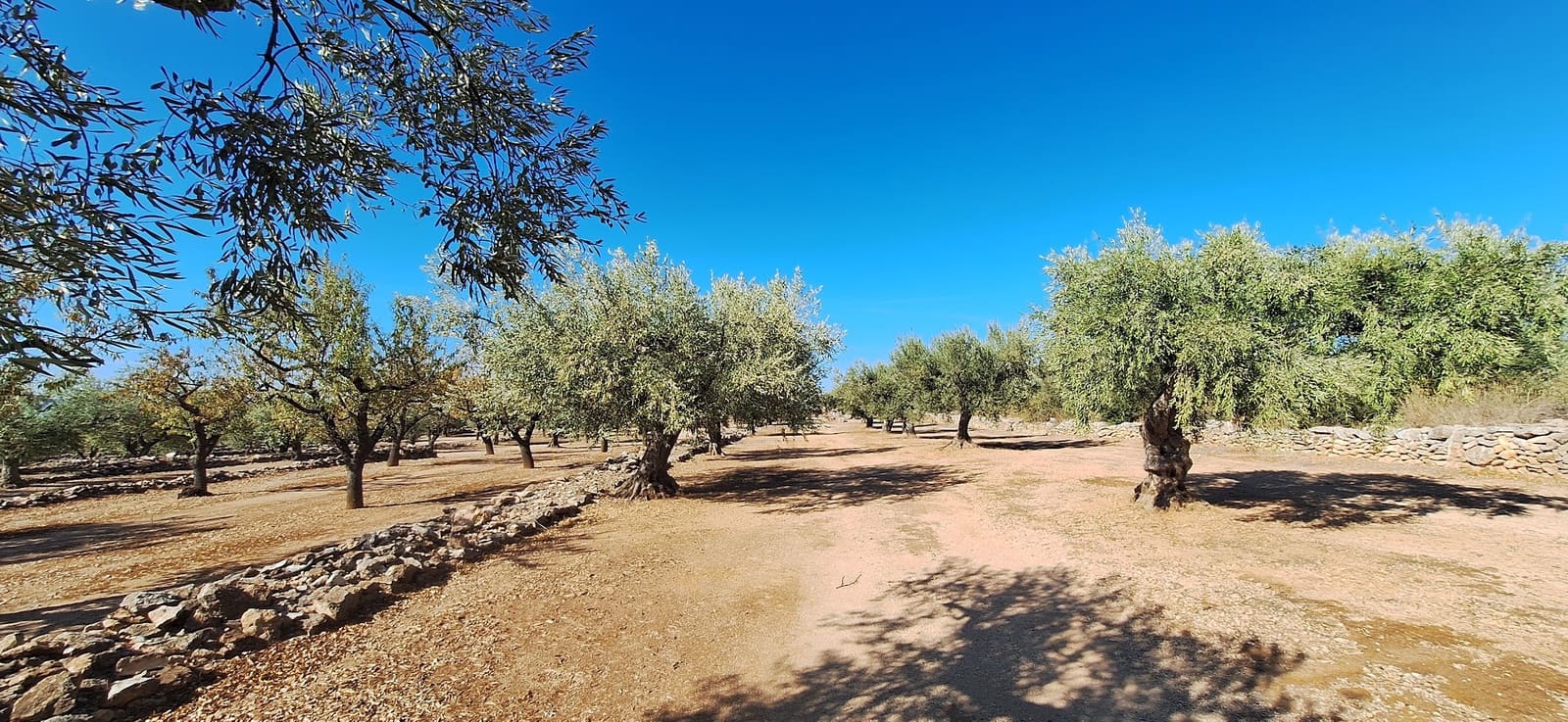 Finca/Landgut zu verkaufen in Tivissa - 162.000 € (Ref: 10100861)