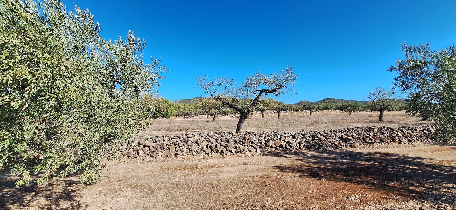 Finca/Landgut zu verkaufen in Tivissa - 162.000 € (Ref: 10100861)