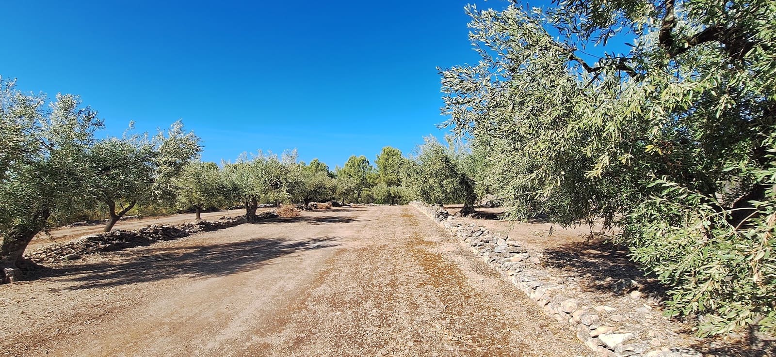 Finca/Landgut zu verkaufen in Tivissa - 162.000 € (Ref: 10100861)