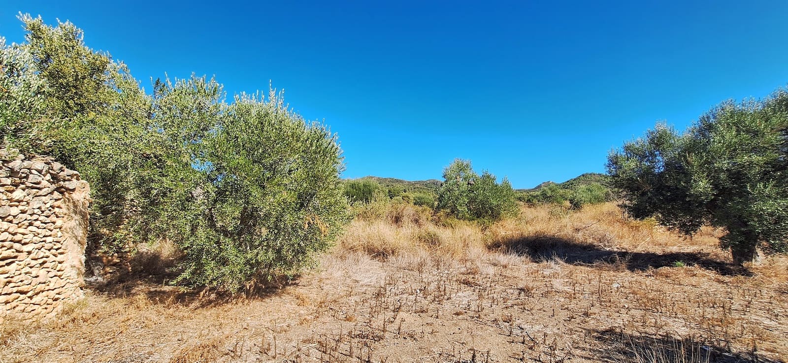 Finca/Landgut zu verkaufen in Tivissa - 162.000 € (Ref: 10100861)