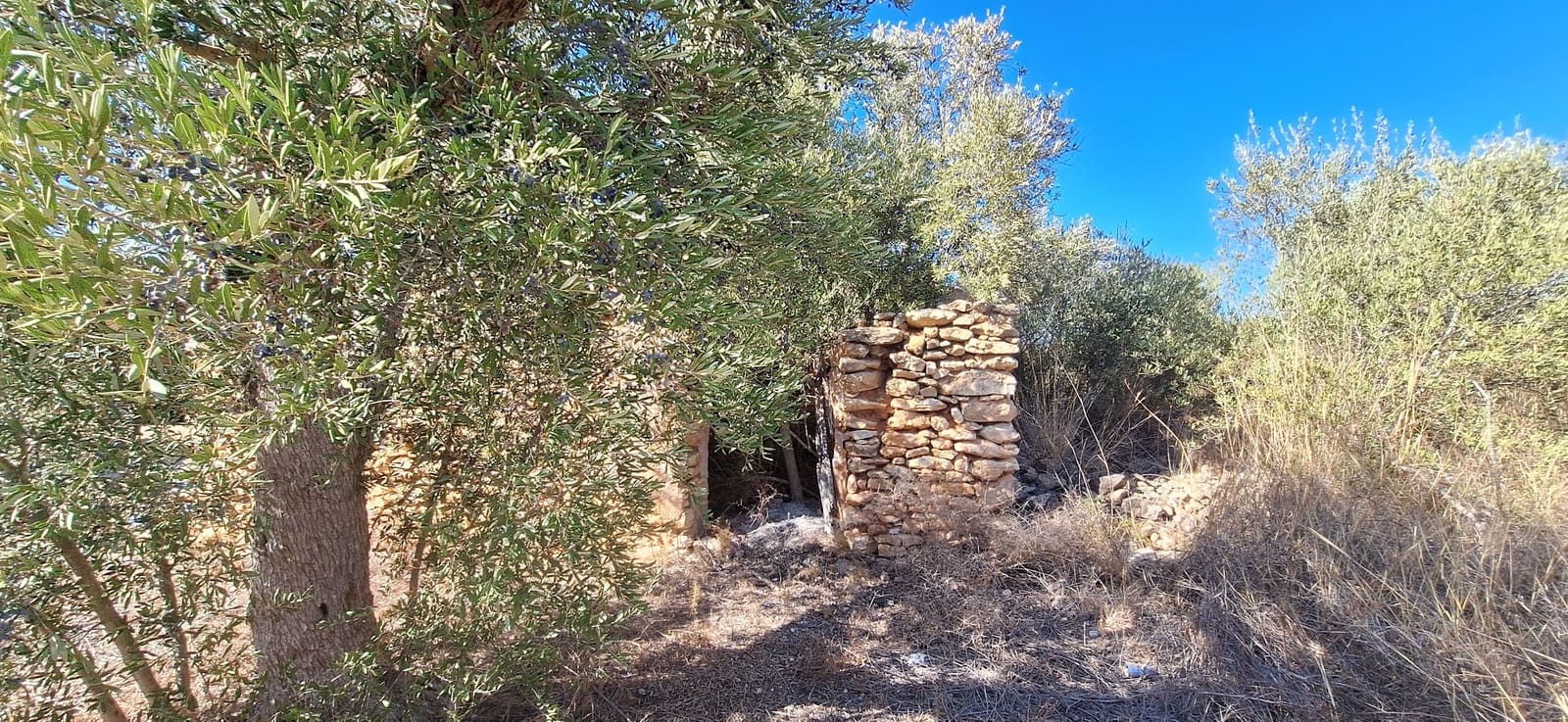 Finca/Landgut zu verkaufen in Tivissa - 162.000 € (Ref: 10100861)