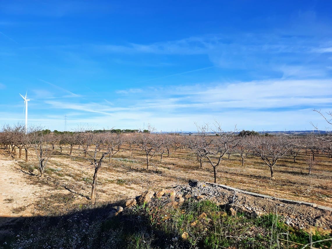 Finca/Landehus til salg i Gandesa - € 39.000 (Ref: 6552359)