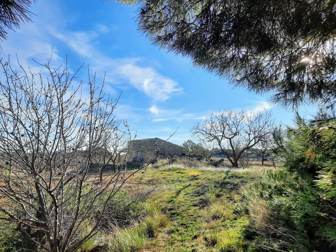 Finca/Landehus til salg i Gandesa - € 39.000 (Ref: 6552359)