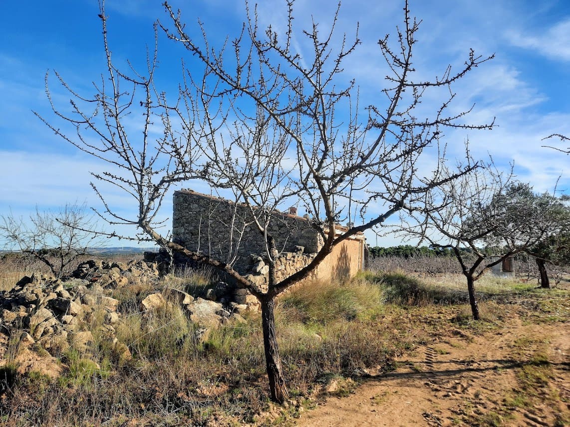 Finca/Landehus til salg i Gandesa - € 39.000 (Ref: 6552359)