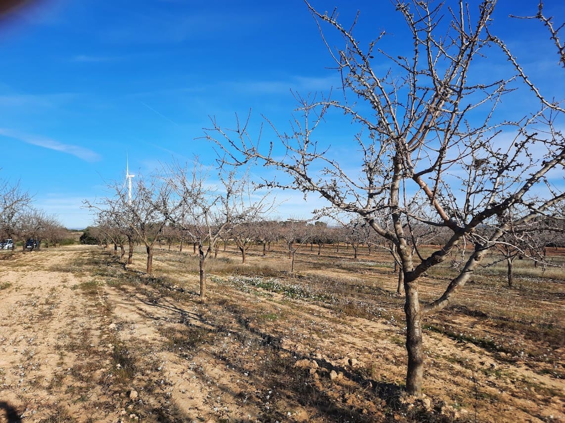 Finca/Landehus til salg i Gandesa - € 39.000 (Ref: 6552359)