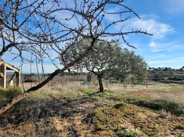 Finca/Landehus til salg i Gandesa - € 39.000 (Ref: 6552359)