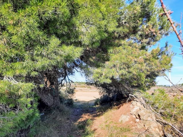 Finca/Landehus til salg i Gandesa - € 39.000 (Ref: 6552359)