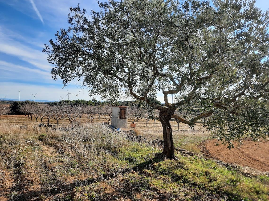 Finca/Landehus til salg i Gandesa - € 39.000 (Ref: 6552359)
