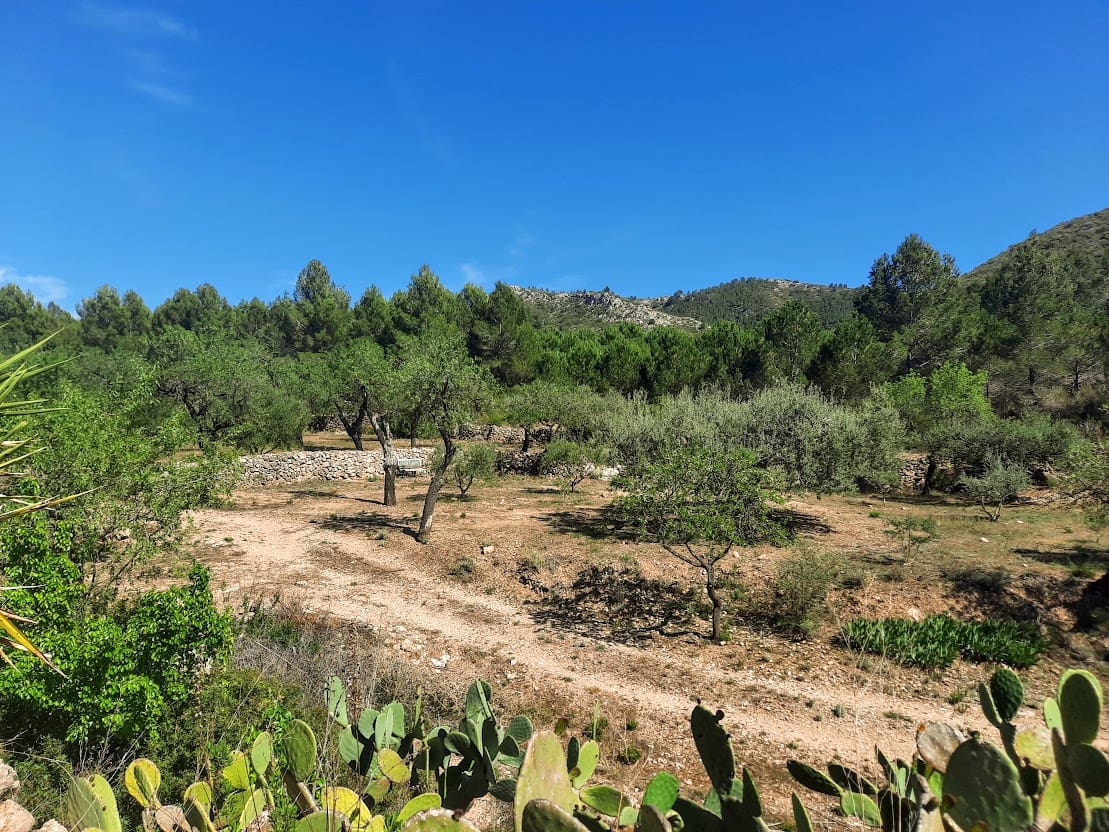 3 soveværelse Finca/Landehus til salg i Ginestar - € 180.000 (Ref: 7524667)