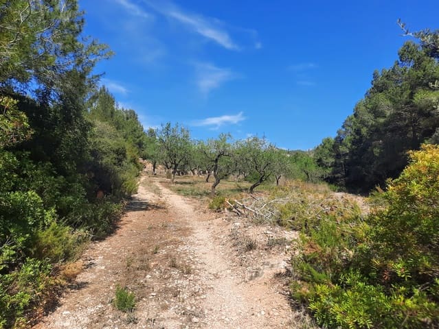 3 bedroom Finca/Country House for sale in Ginestar - € 180,000 (Ref: 7524667)