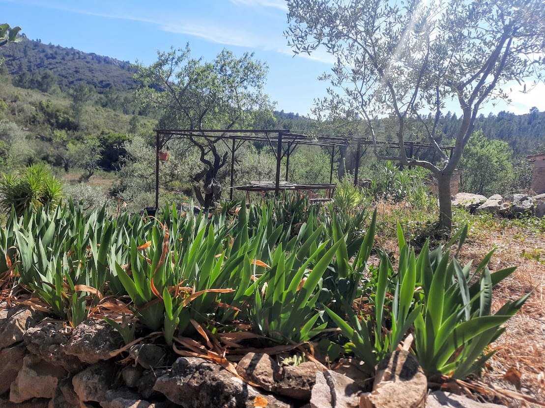 3 soveværelse Finca/Landehus til salg i Ginestar - € 180.000 (Ref: 7524667)