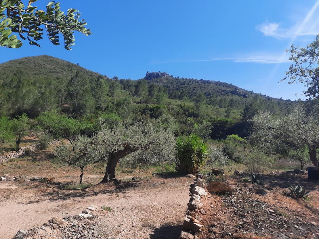 3 soveværelse Finca/Landehus til salg i Ginestar - € 180.000 (Ref: 7524667)