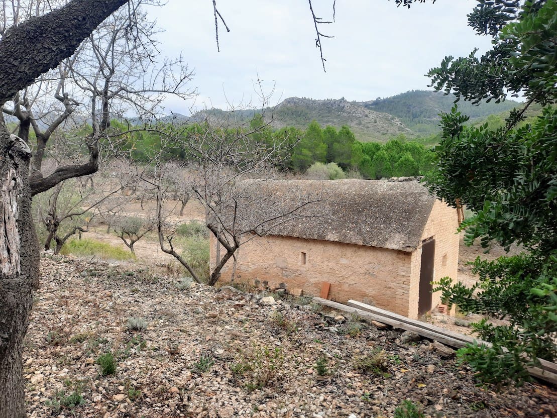 3 soveværelse Finca/Landehus til salg i Ginestar - € 180.000 (Ref: 7524667)