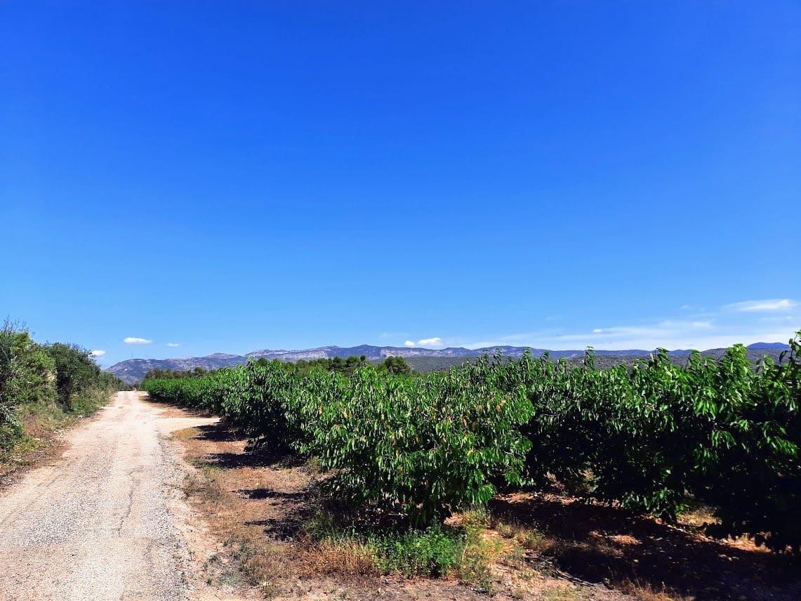 Finca/Landehus til salg i Garcia - € 189.000 (Ref: 7657852)