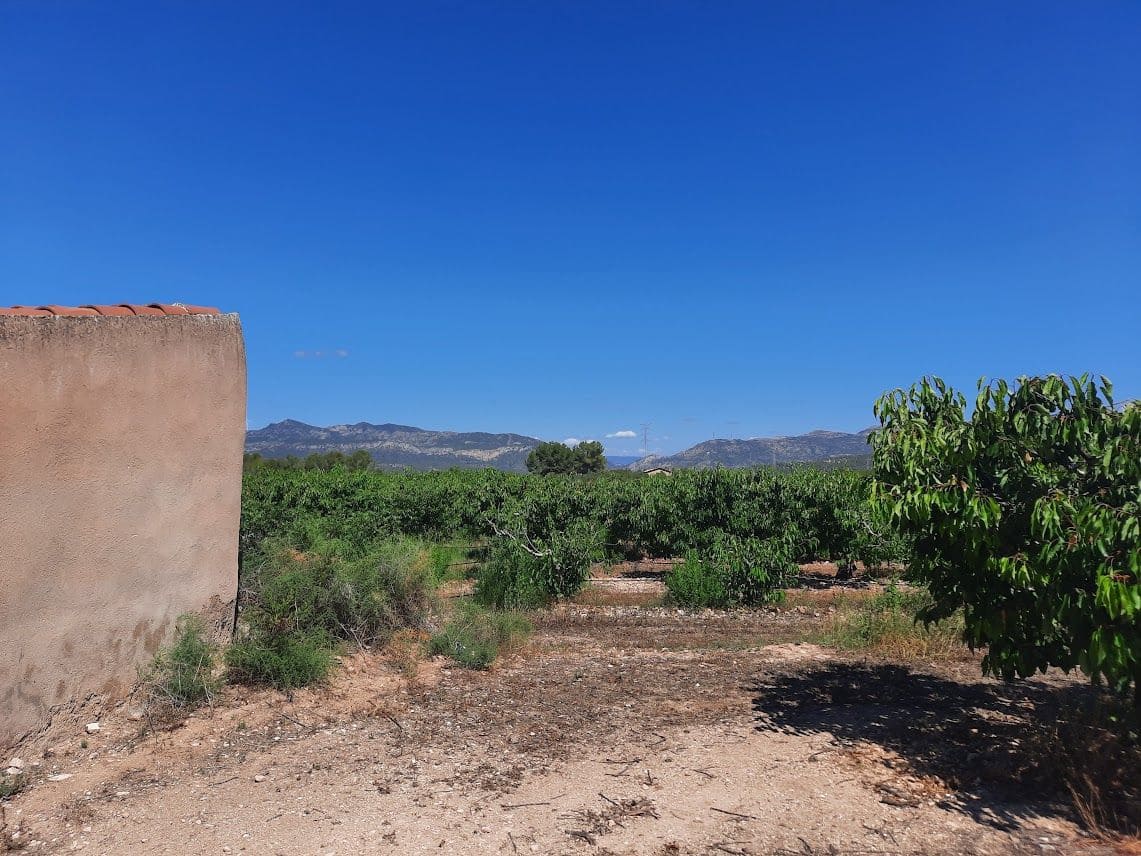 Finca/Landehus til salg i Garcia - € 189.000 (Ref: 7657852)
