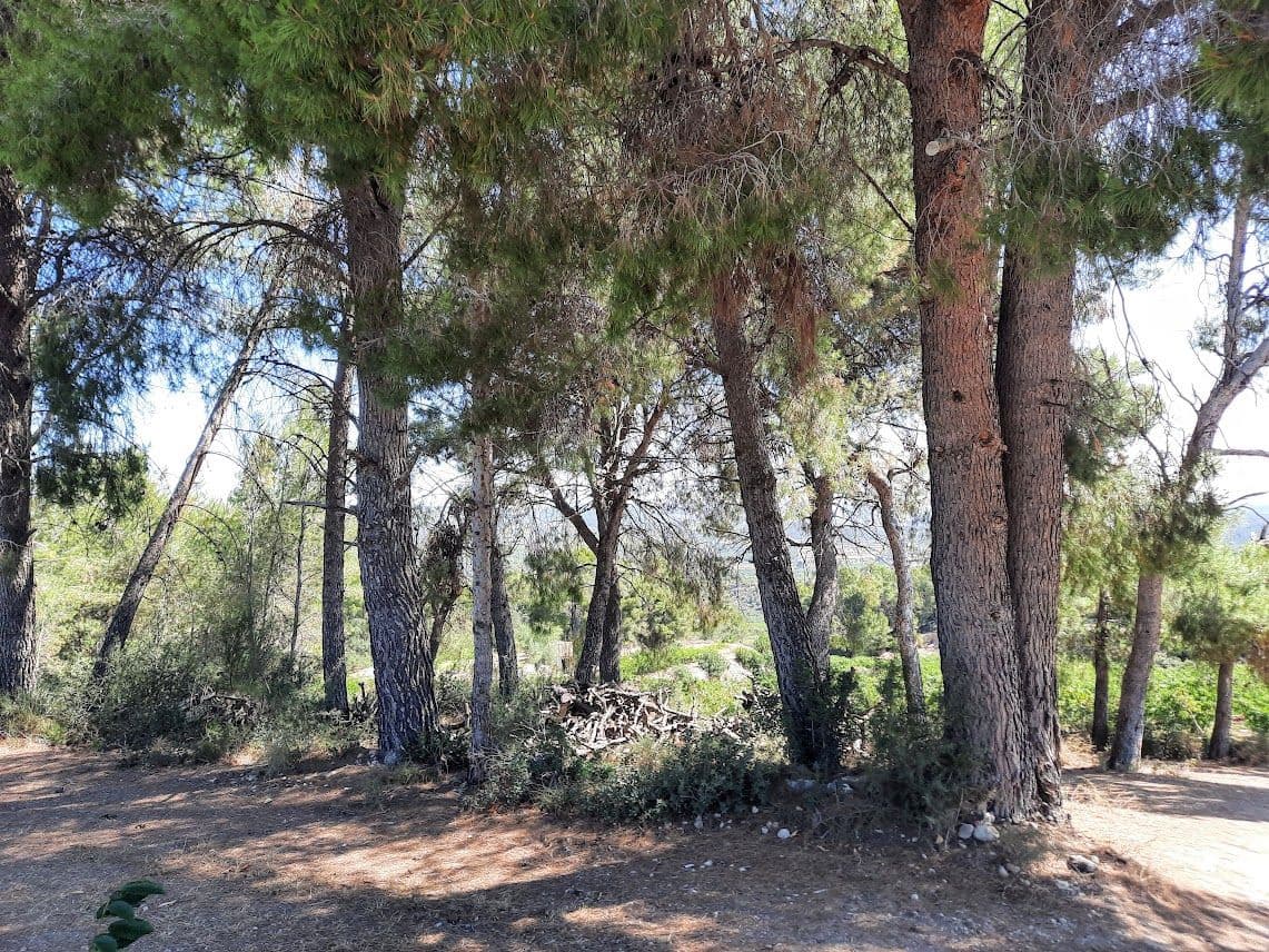 Finca/Landehus til salg i Garcia - € 189.000 (Ref: 7657852)