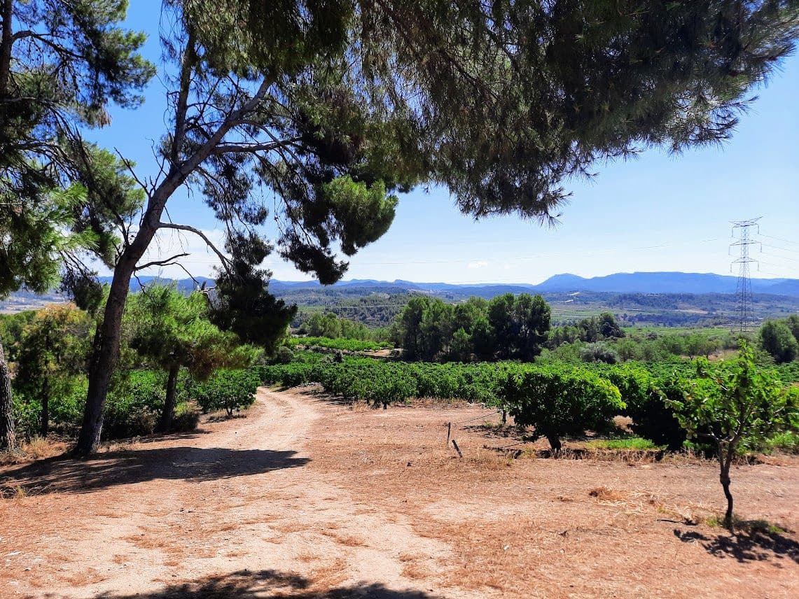 Finca/Landehus til salg i Garcia - € 189.000 (Ref: 7657852)