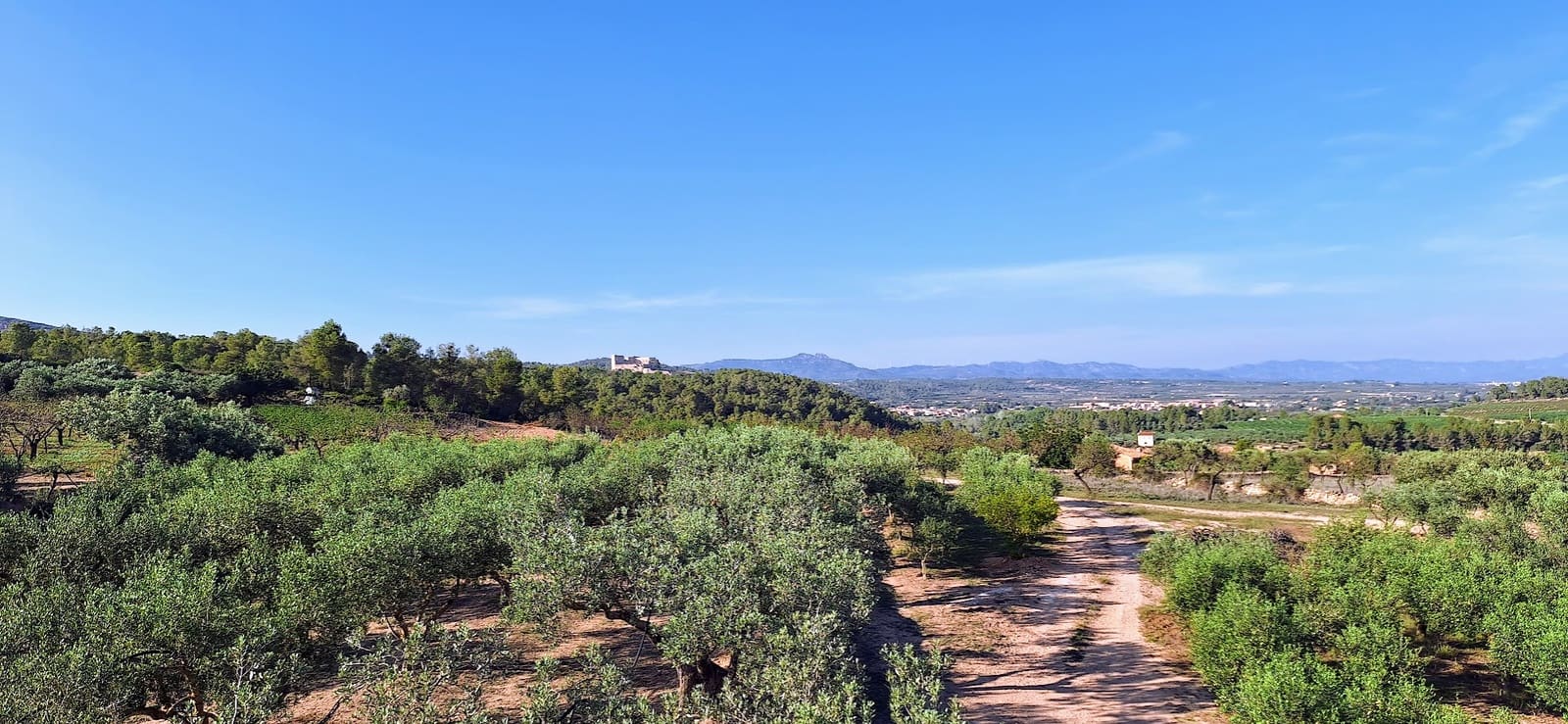 2 soveværelse Finca/Landehus til salg i Rasquera - € 186.000 (Ref: 7835593)