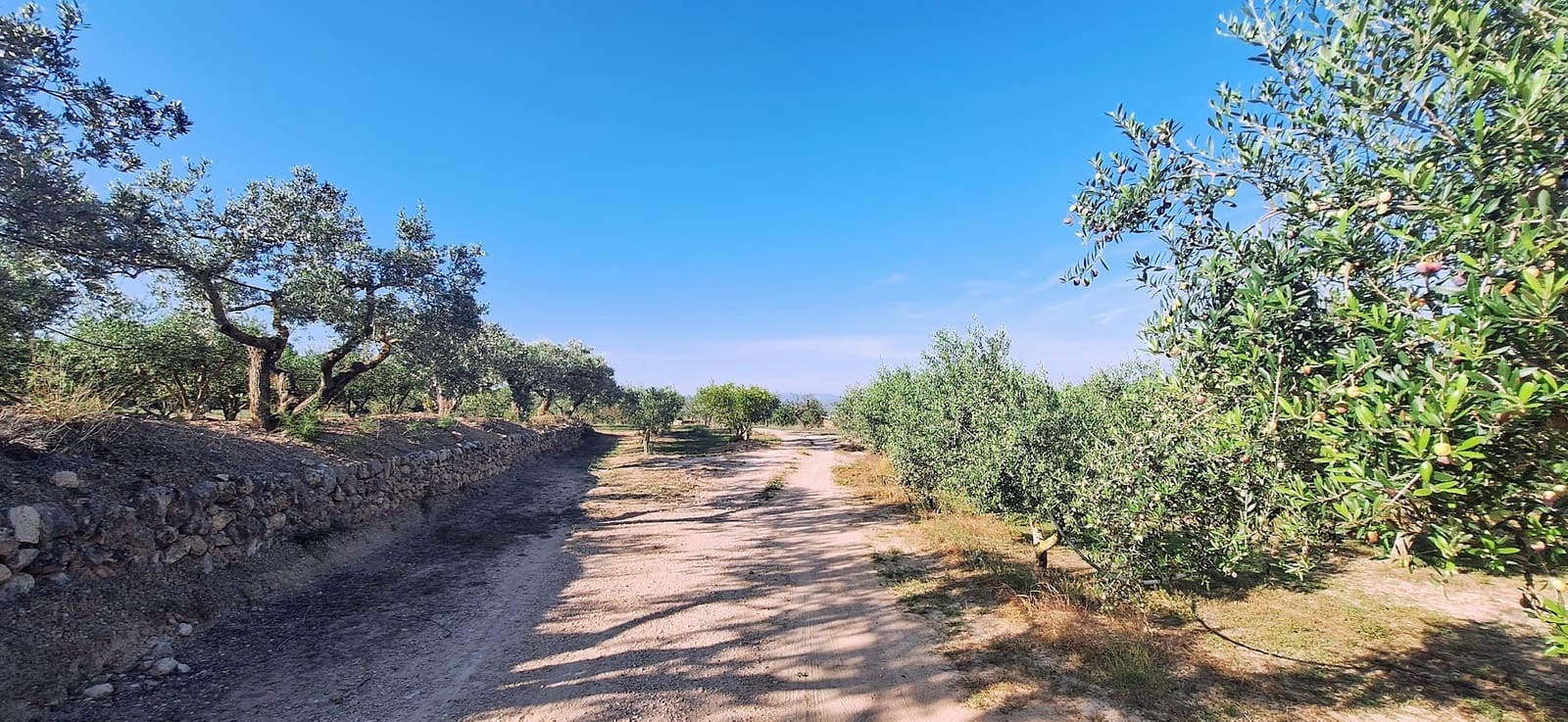 2 soveværelse Finca/Landehus til salg i Rasquera - € 186.000 (Ref: 7835593)