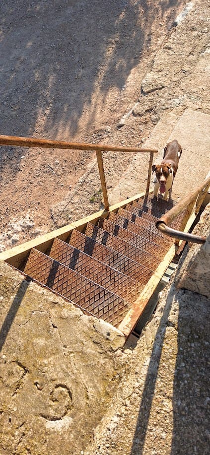 2 soveværelse Finca/Landehus til salg i Rasquera - € 186.000 (Ref: 7835593)