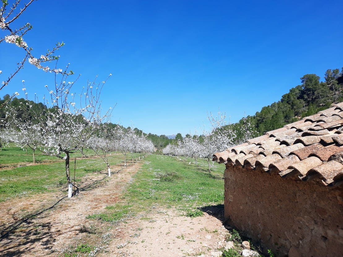 Finca/Maison de Campagne à vendre à Ginestar - 59 000 € (Ref: 7904055)