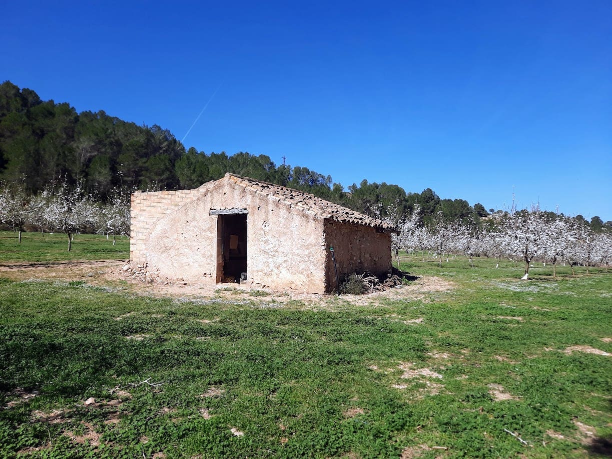 Finca/Maison de Campagne à vendre à Ginestar - 59 000 € (Ref: 7904055)