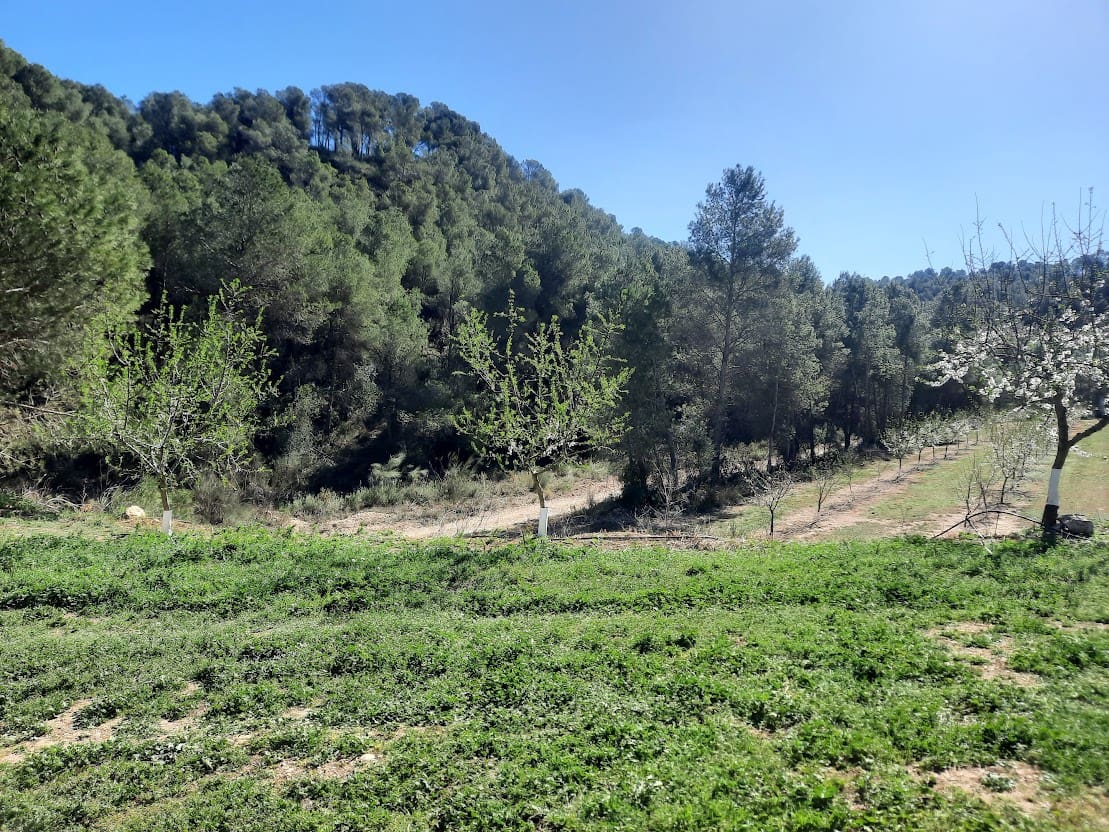 Finca/Maison de Campagne à vendre à Ginestar - 59 000 € (Ref: 7904055)