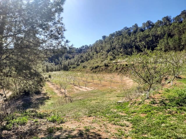 Finca/Country House for sale in Ginestar - € 59,000 (Ref: 7904055)