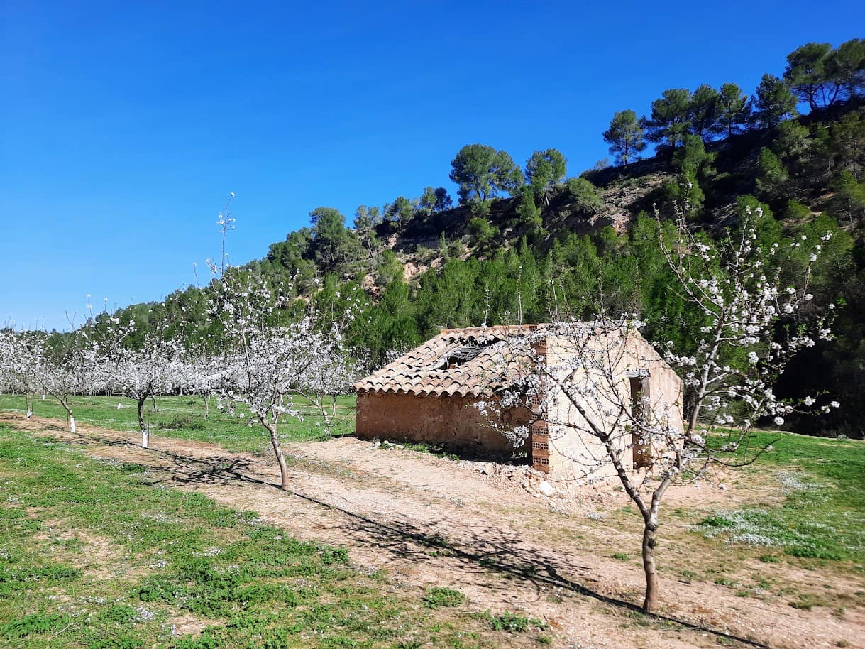 Finca/Maison de Campagne à vendre à Ginestar - 59 000 € (Ref: 7904055)