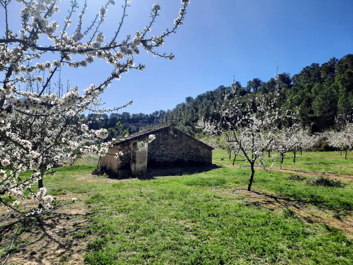 Finca/Maison de Campagne à vendre à Ginestar - 59 000 € (Ref: 7904055)