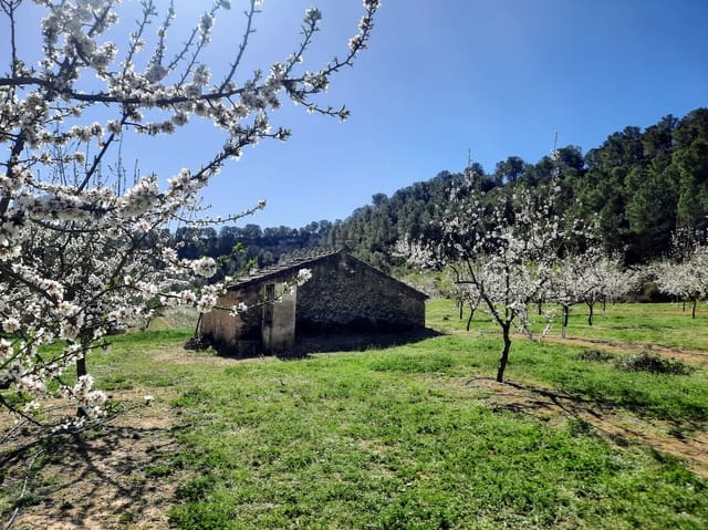 Finca/Country House for sale in Ginestar - € 59,000 (Ref: 7904055)