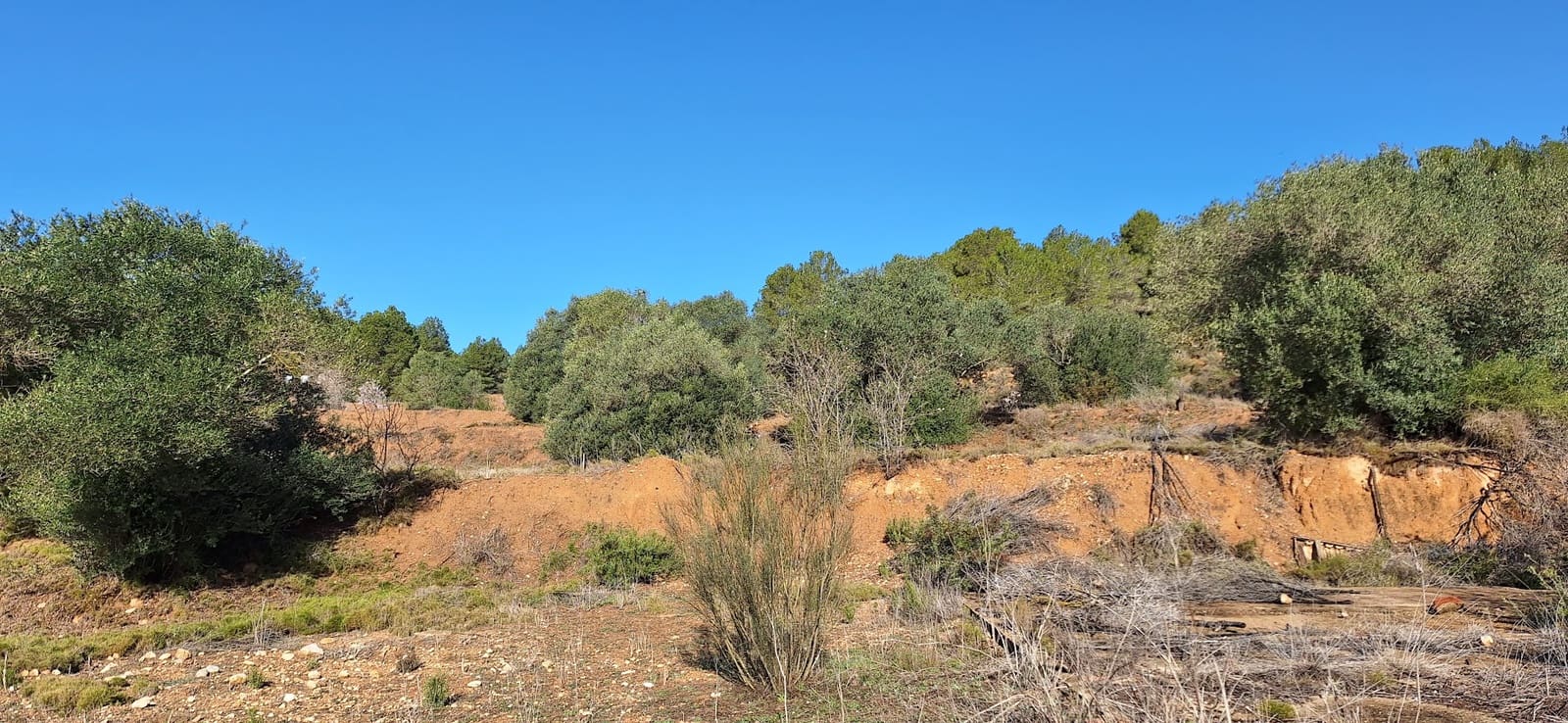 Finca/Landehus til salg i Mora d'Ebre - € 42.000 (Ref: 8105154)