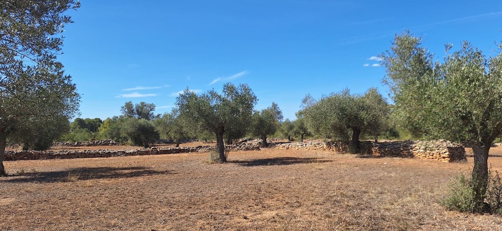 Finka/Dom wiejski na sprzedaż w Ginestar - 74 000 € (Ref: 8479948)