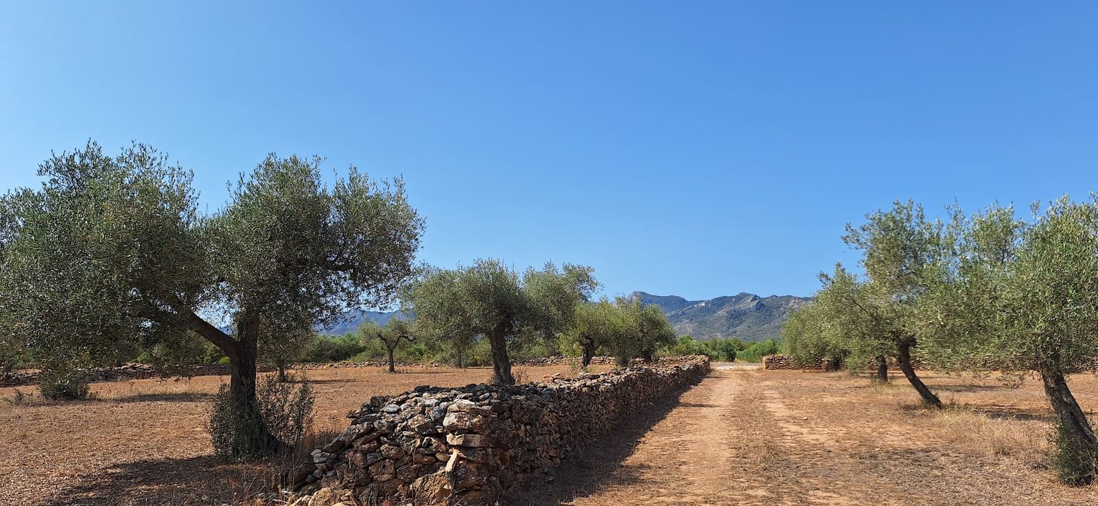 Finka/Dom wiejski na sprzedaż w Ginestar - 74 000 € (Ref: 8479948)