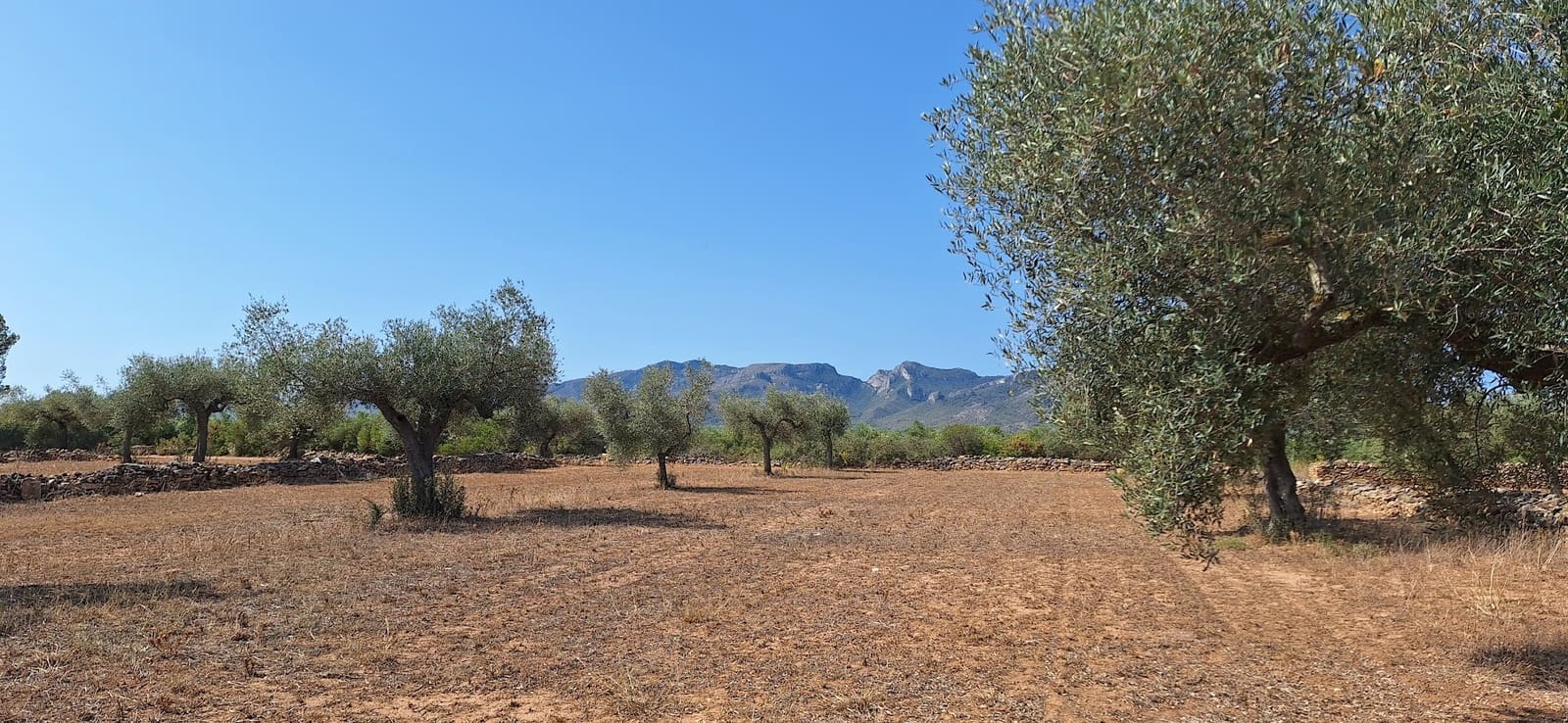 Finka/Dom wiejski na sprzedaż w Ginestar - 74 000 € (Ref: 8479948)