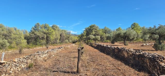 Finca/Country House for sale in Ginestar - € 74,000 (Ref: 8479948)