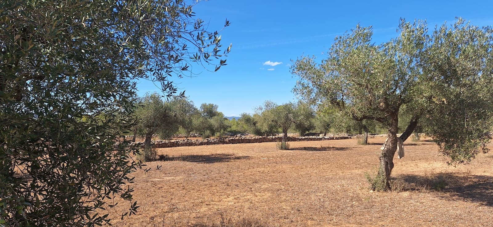 Finka/Dom wiejski na sprzedaż w Ginestar - 74 000 € (Ref: 8479948)