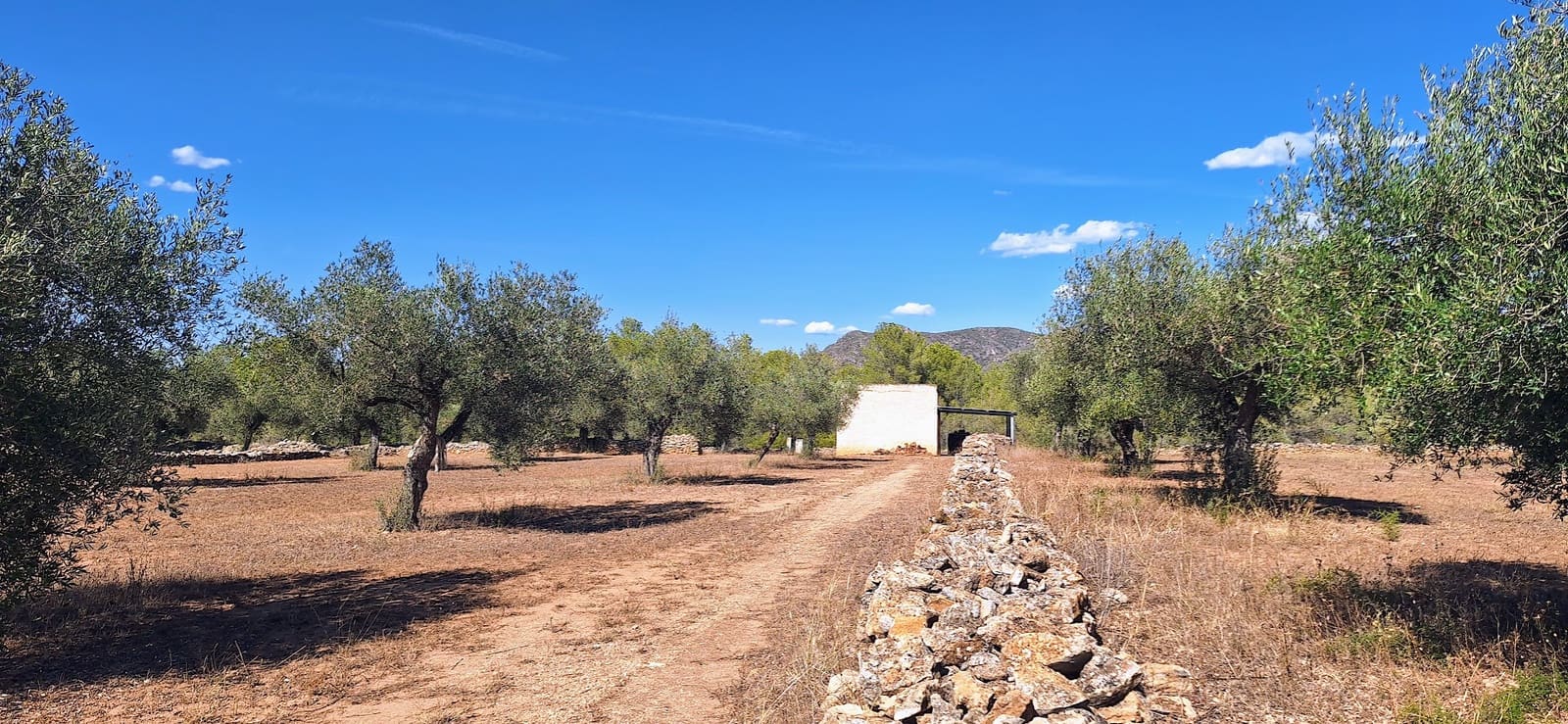 Finka/Dom wiejski na sprzedaż w Ginestar - 74 000 € (Ref: 8479948)