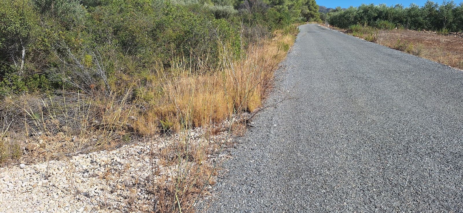 Finka/Dom wiejski na sprzedaż w Ginestar - 74 000 € (Ref: 8479948)