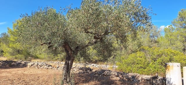 Finca/Country House for sale in Ginestar - € 74,000 (Ref: 8479948)