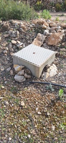 Undeveloped Land for sale in Ginestar - € 21,000 (Ref: 8777404)