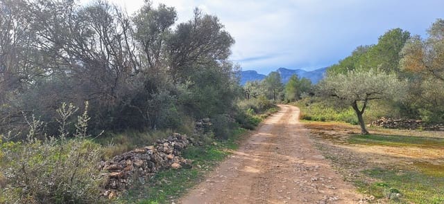 Undeveloped Land for sale in Ginestar - € 21,000 (Ref: 8777404)