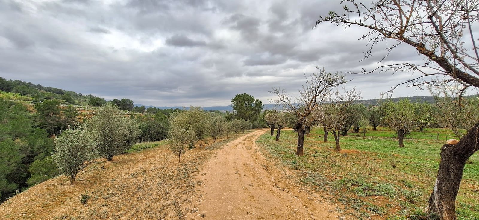 Finka/Dom wiejski na sprzedaż w Tivissa - 215 000 € (Ref: 8848448)