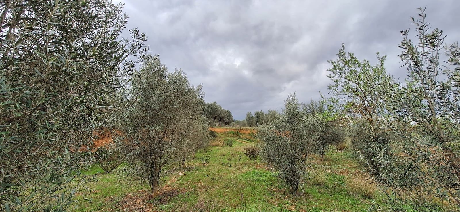 Finka/Dom wiejski na sprzedaż w Tivissa - 215 000 € (Ref: 8848448)