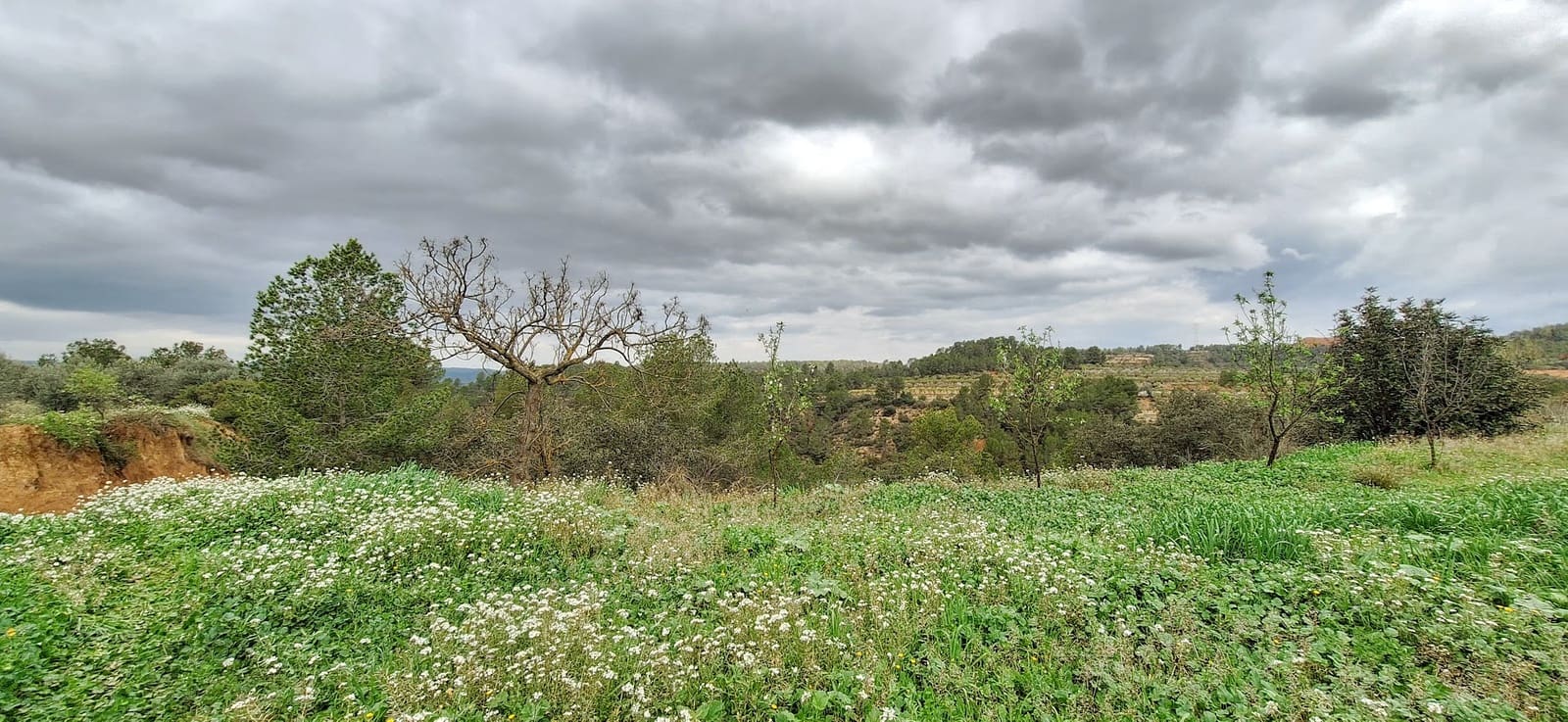 Finka/Dom wiejski na sprzedaż w Tivissa - 215 000 € (Ref: 8848448)