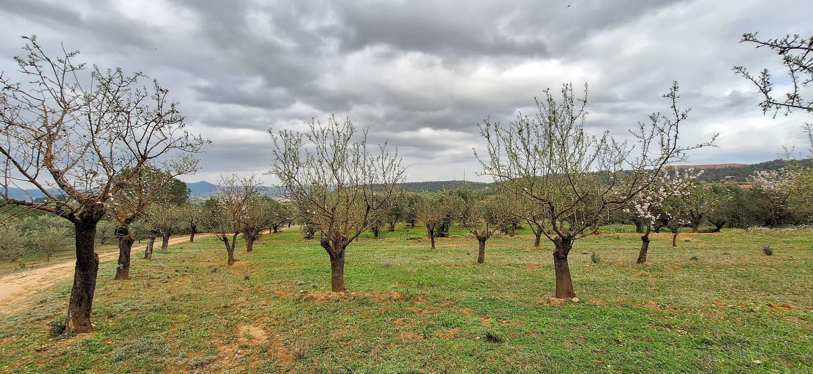 Finka/Dom wiejski na sprzedaż w Tivissa - 215 000 € (Ref: 8848448)