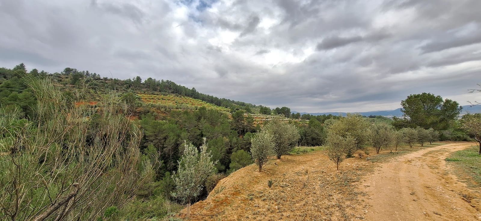 Finka/Dom wiejski na sprzedaż w Tivissa - 215 000 € (Ref: 8848448)